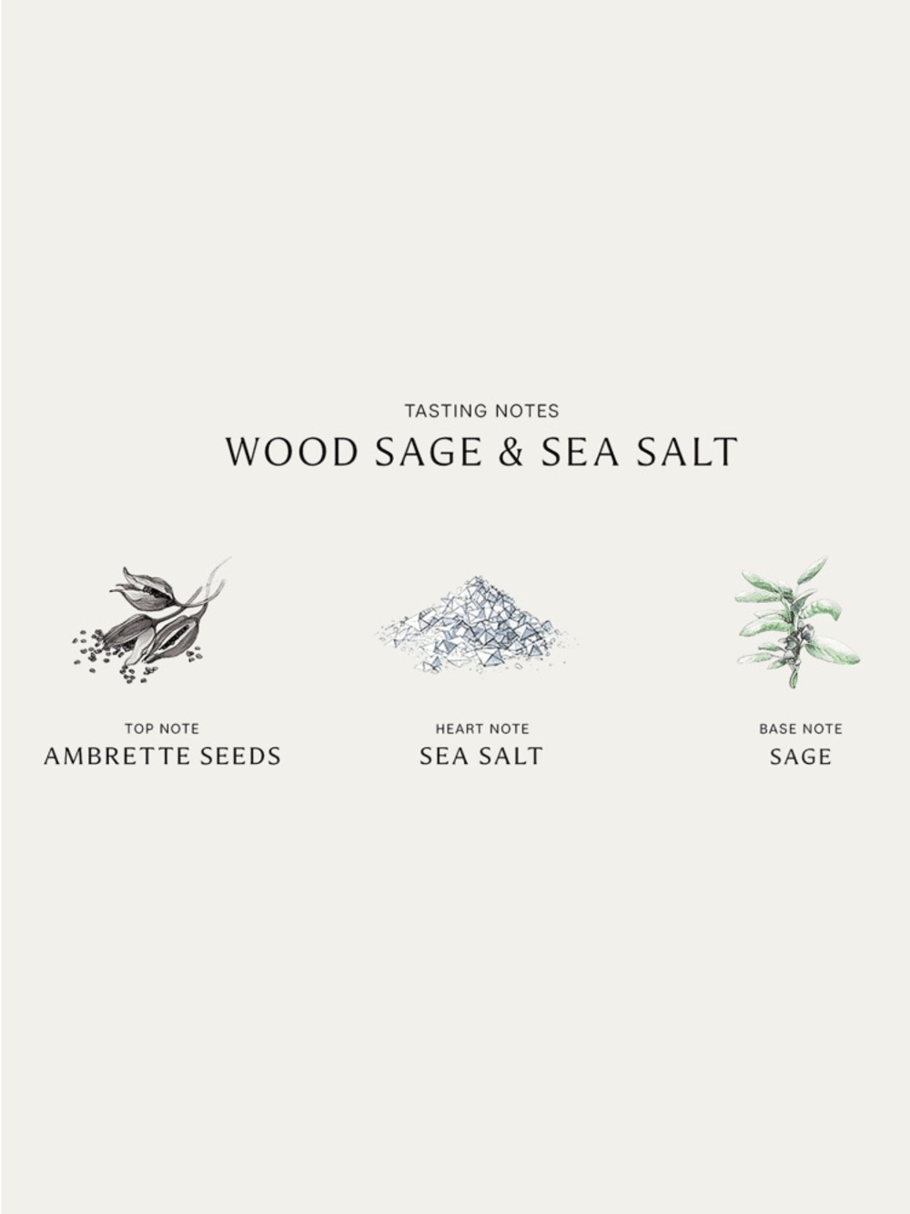 Jo Malone London Wood Sage & Sea Salt Cologne, 1.0 fl. oz. $92 - Picture 12 of 12